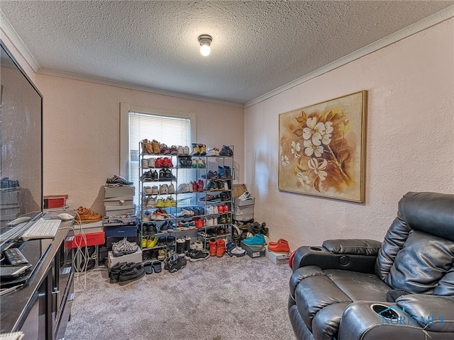 sitting room featuring crown molding, a textured wall, carpet floors, and a textured ceiling