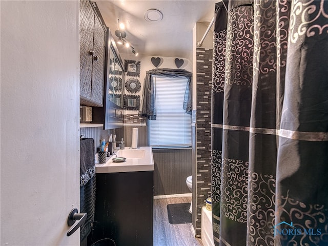 bathroom featuring vanity, toilet, and wood finished floors