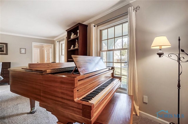 interior details with crown molding, carpet, and baseboards