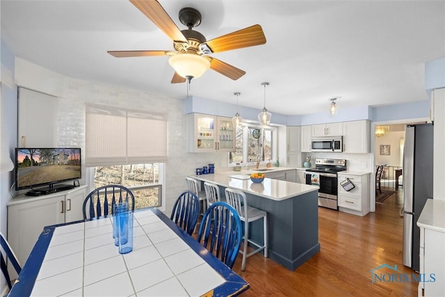 dining area featuring ceiling fan and wood finished floors