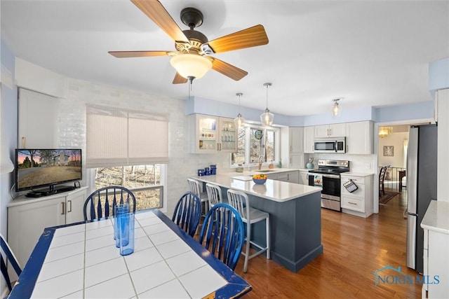 2944 Plumbrook Dr, Maumee, OH 43537 - dining space with plenty of natural light, wood finished floors, and a ceiling fan