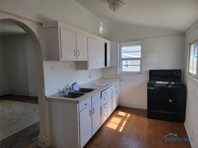 kitchen featuring lofted ceiling, wood finished floors, black range with electric stovetop, and a sink