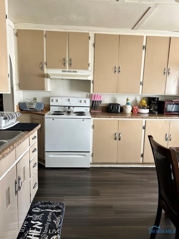 kitchen featuring under cabinet range hood, decorative backsplash, electric stove, and dark wood-style flooring