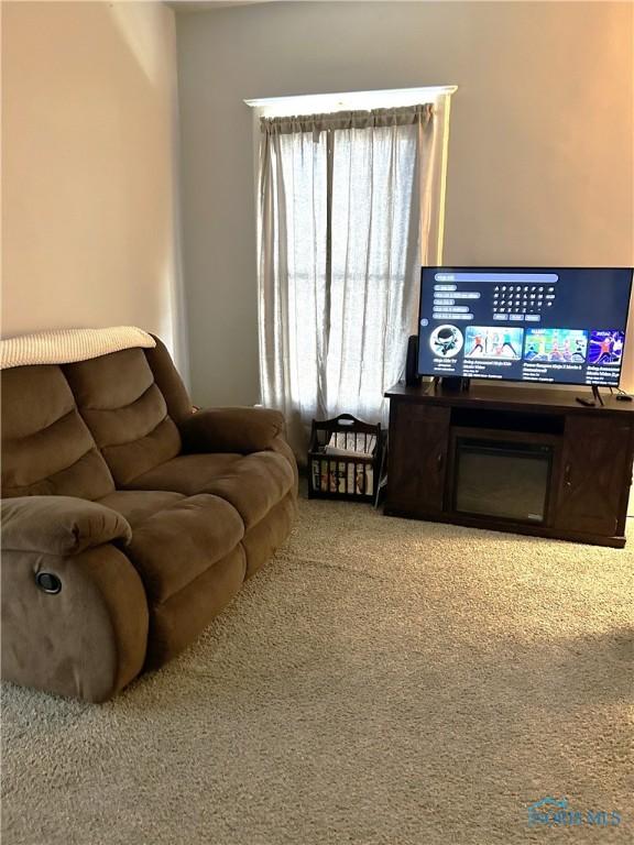 living room featuring carpet flooring