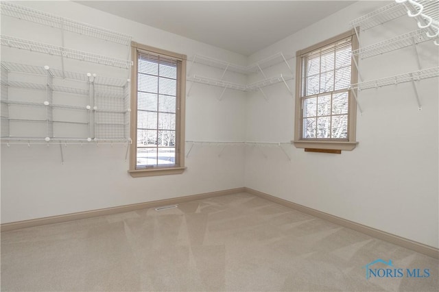 walk in closet featuring carpet flooring