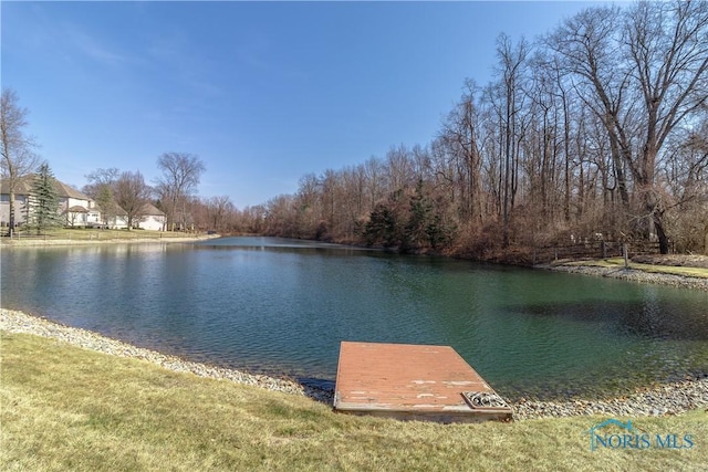 water view featuring a boat dock