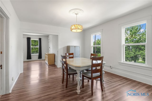 dining room featuring a healthy amount of sunlight and wood finished floors