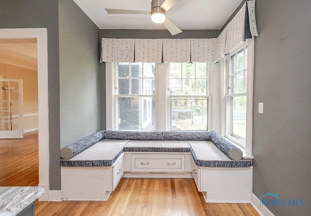 121 Eagle Point Dr, Rossford, OH 43460 - unfurnished room with light wood finished floors and a ceiling fan