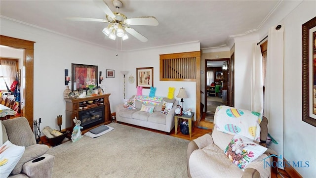 living area featuring carpet flooring, ceiling fan, and ornamental molding