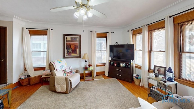 living room with light wood-style flooring, crown molding, and ceiling fan