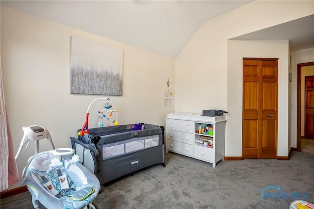 bedroom with baseboards, lofted ceiling, and carpet