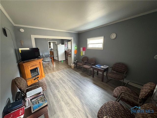 living room featuring wood finished floors and ornamental molding