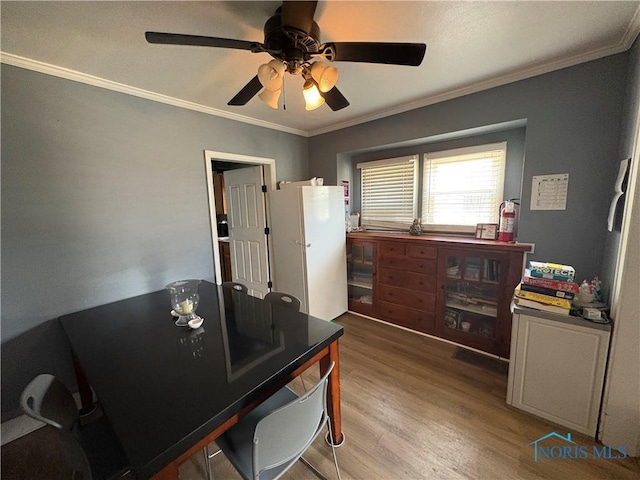 home office with light wood-style flooring, ceiling fan, and ornamental molding