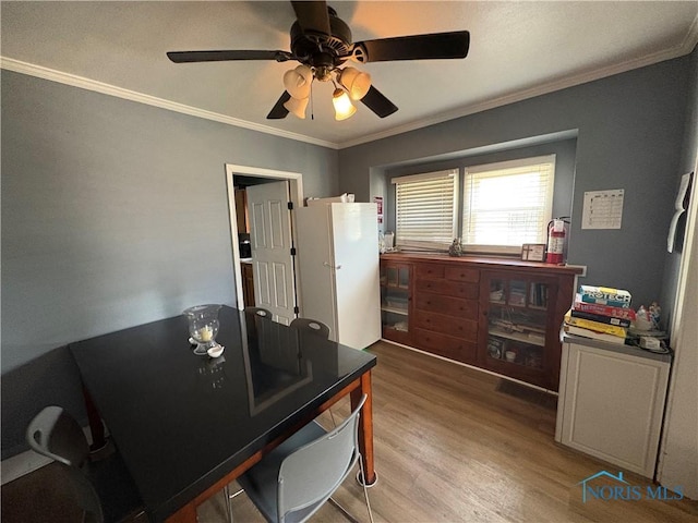 home office featuring ceiling fan, crown molding, and light wood finished floors