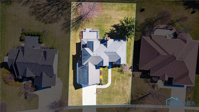 bird's eye view