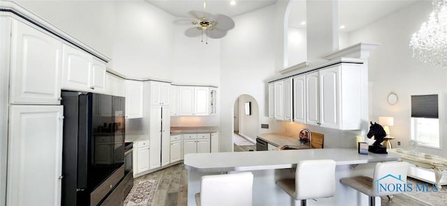 2249 Woods Edge Ct, Toledo, OH 43615 - kitchen with a peninsula, stainless steel electric range, arched walkways, freestanding refrigerator, and ceiling fan with notable chandelier