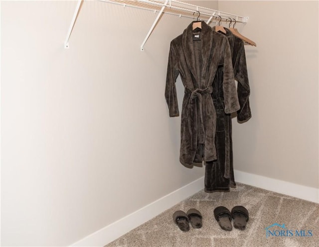 walk in closet with carpet floors