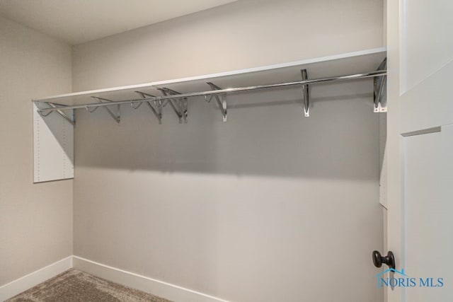 walk in closet featuring carpet flooring