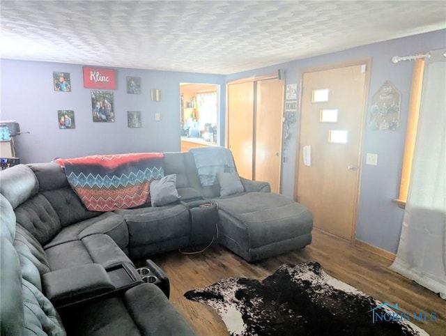 living room featuring wood finished floors and a textured ceiling