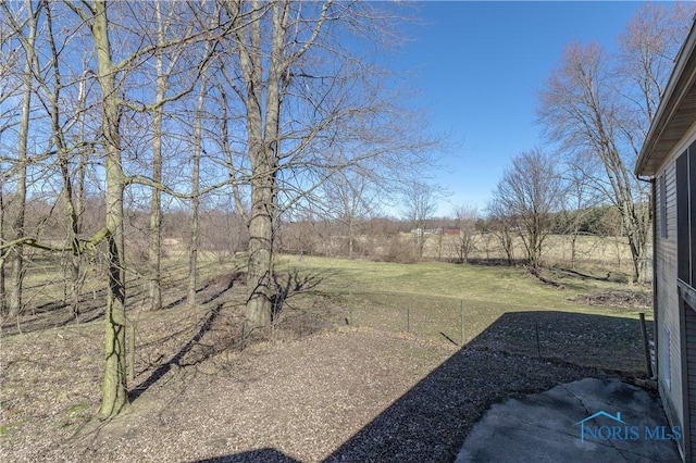 2121 County Road 4 Unit 1, Swanton, OH 43558 - view of yard