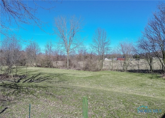 2121 County Road 4 Unit 1, Swanton, OH 43558 - view of yard