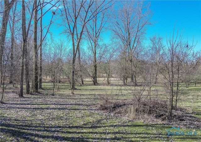 2121 County Road 4 Unit 1, Swanton, OH 43558 - view of landscape