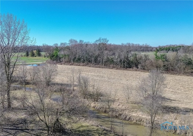 2121 County Road 4 Unit 1, Swanton, OH 43558 - view of nature with a water view