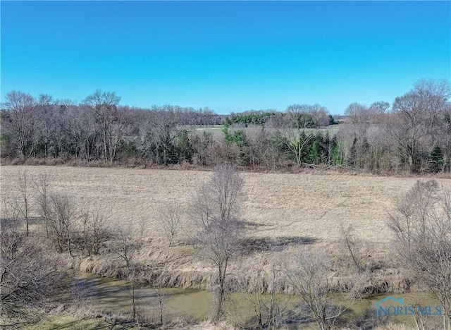 2121 County Road 4 Unit 1, Swanton, OH 43558 - view of nature