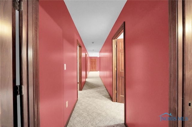 corridor with light carpet