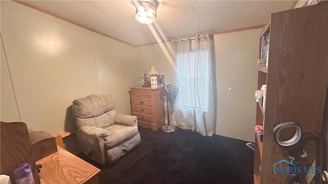 sitting room with carpet floors and a textured ceiling