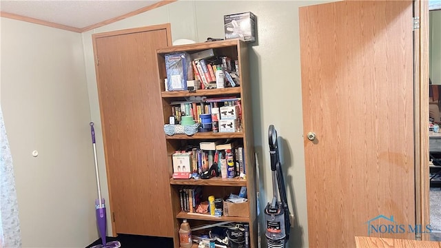 interior space featuring crown molding and lofted ceiling