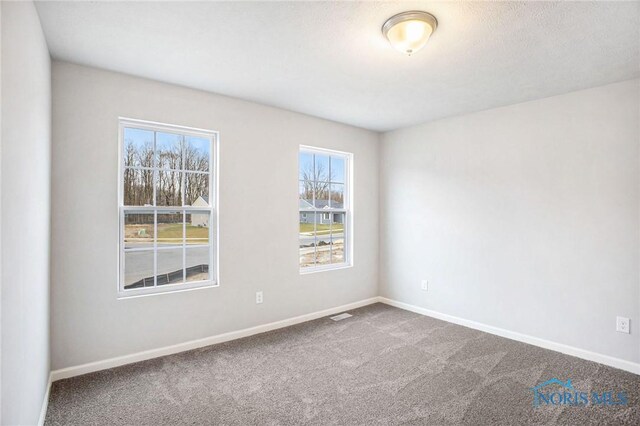 383 Douglas Dr, Liberty Center, OH 43532 - photo 18