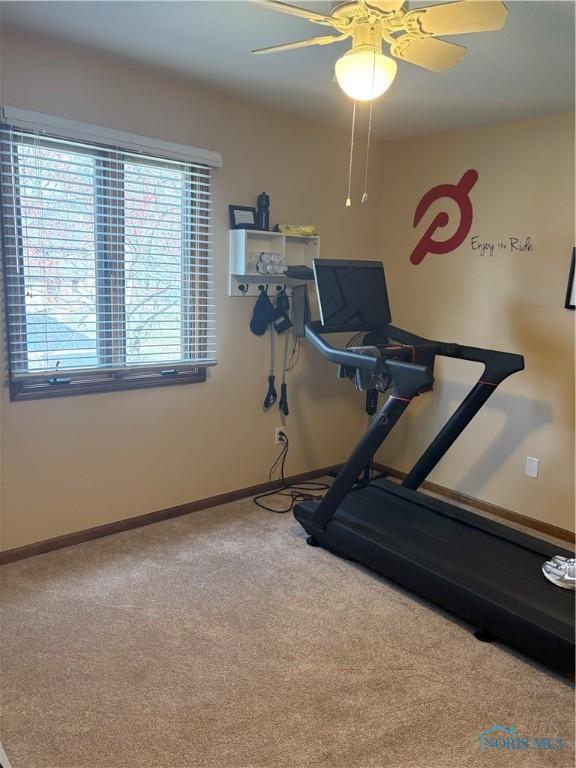 workout room featuring carpet floors, baseboards, and ceiling fan