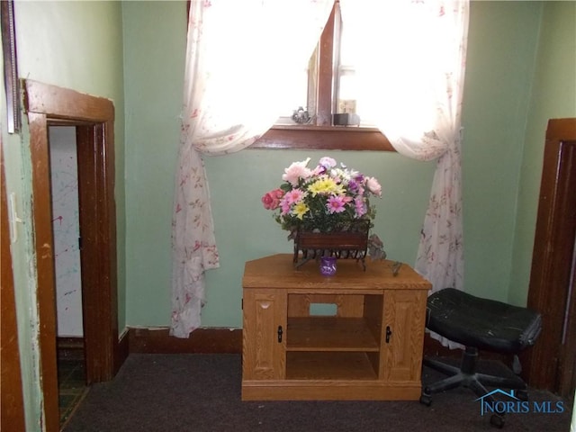 room details with carpet