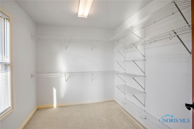 14579 Lake Meadows Dr, Perrysburg, OH 43551 - walk in closet featuring carpet floors