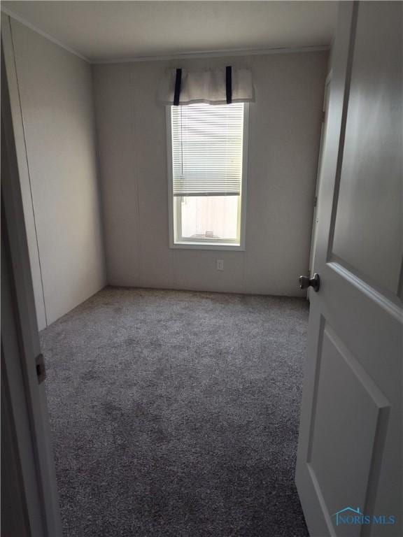 600 S Union St, Bryan, OH 43506 - spare room featuring crown molding and carpet floors