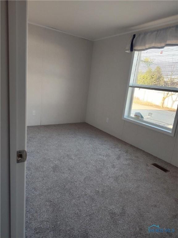 600 S Union St, Bryan, OH 43506 - spare room featuring carpet flooring, ornamental molding, and visible vents