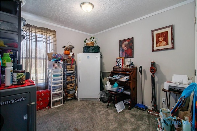 900 E Water St, North Baltimore, OH 45872 - interior space featuring ornamental molding and a textured ceiling