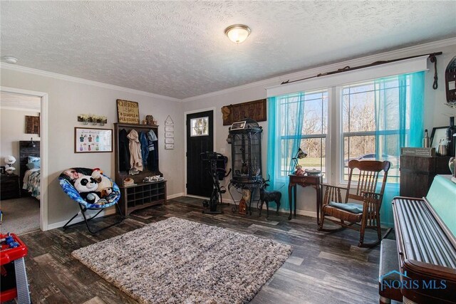 900 E Water St, North Baltimore, OH 45872 - interior space with crown molding, a textured ceiling, wood finished floors, and baseboards