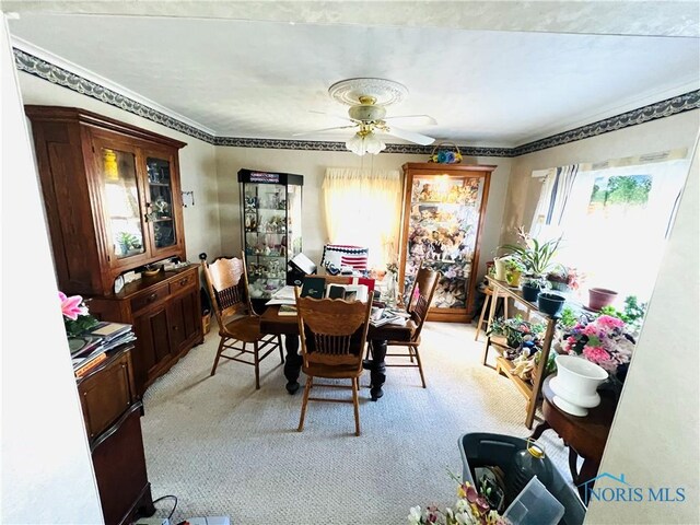 453 N 7th St, Upper Sandusky, OH 43351