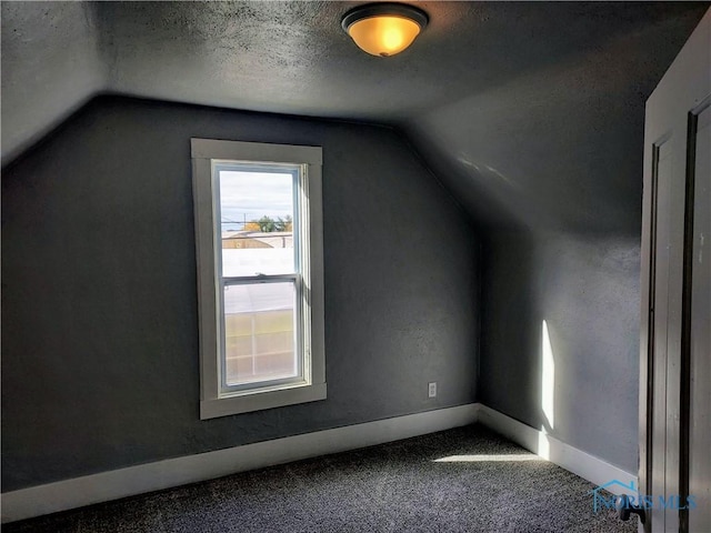 300 Plum St, Columbus Grove, OH 45830 - additional living space featuring carpet flooring, baseboards, vaulted ceiling, and a textured ceiling