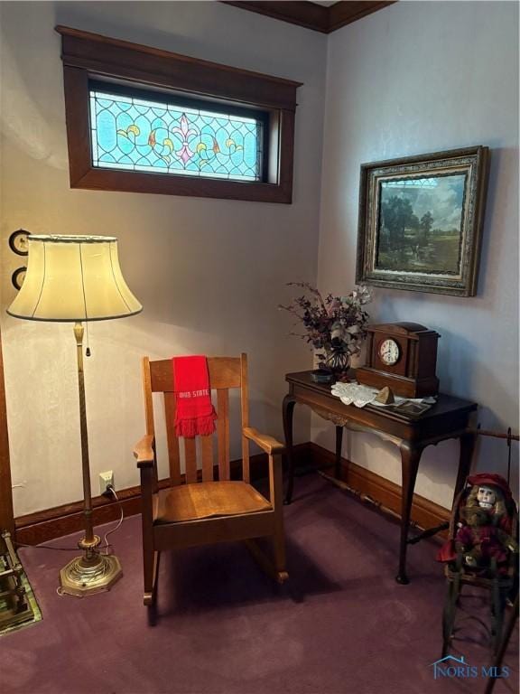 421 Farnsworth Rd, Waterville, OH 43566 - living area with carpet floors and baseboards