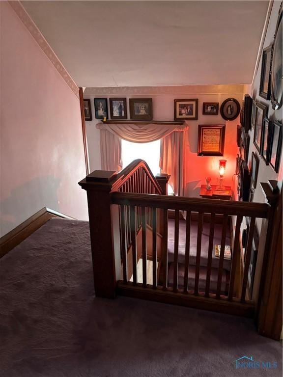 421 Farnsworth Rd, Waterville, OH 43566 - bedroom with carpet floors and baseboards
