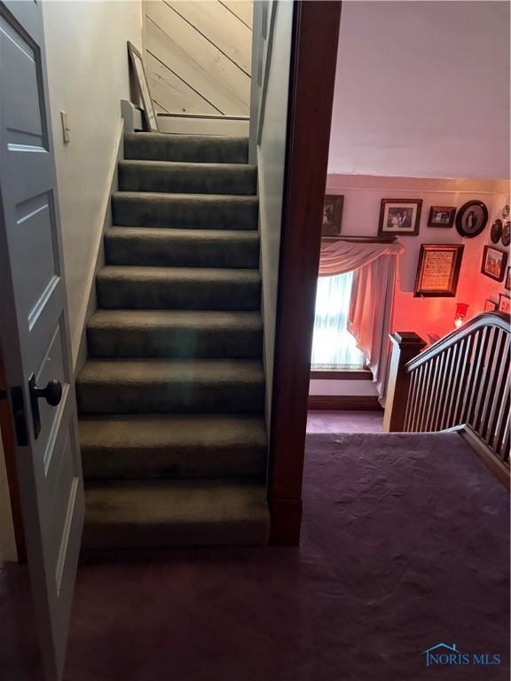 421 Farnsworth Rd, Waterville, OH 43566 - stairs featuring carpet floors