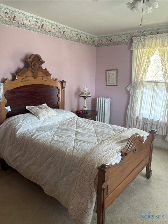 421 Farnsworth Rd, Waterville, OH 43566 - carpeted bedroom with radiator