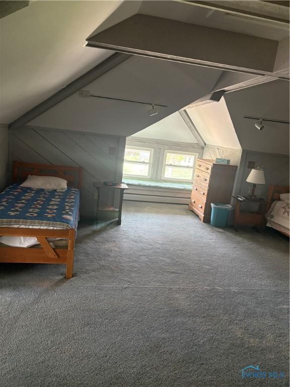 421 Farnsworth Rd, Waterville, OH 43566 - carpeted bedroom featuring track lighting and vaulted ceiling