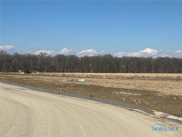 8346 Dutch, Waterville, OH 43566 - photo 3
