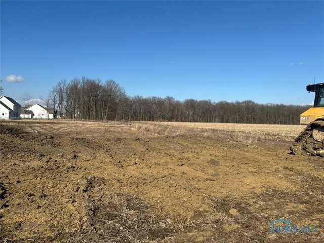 8346 Dutch, Waterville, OH 43566 - photo 4