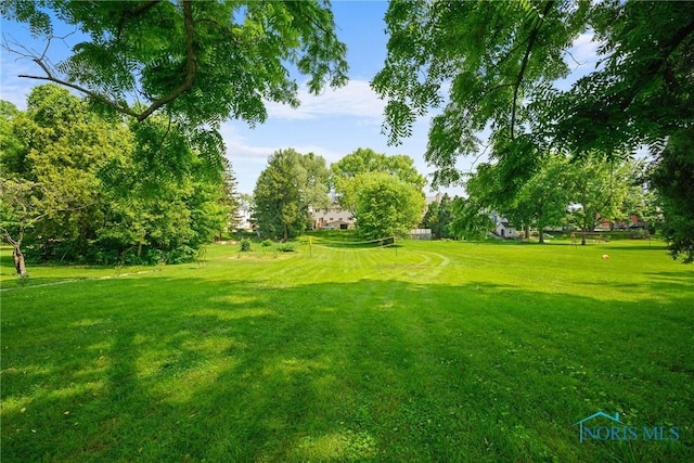 634 Holgate Ave, Defiance, OH 43512 - view of grassy yard