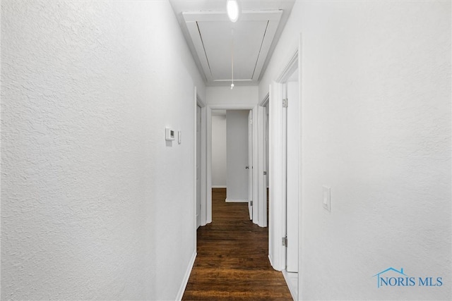 216 Licking St, Toledo, OH 43605 - hall featuring attic access, wood finished floors, a textured wall, and baseboards